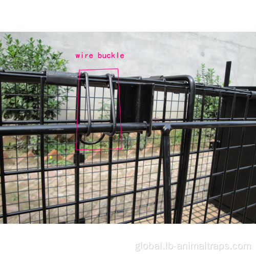 Live Animal Cage Trap Humane Possum Cage Live Animal Safe Catch Supplier